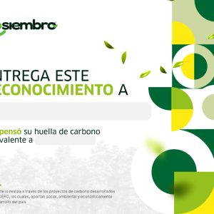 Certificado de Carbono