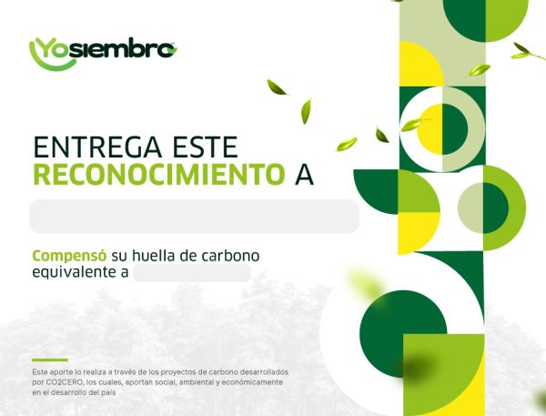 Certificado de Carbono